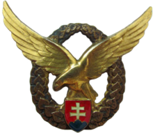 Знак Пилот 3 класс
