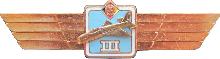 Знак Pilot 3rd class Знак Pilot 3rd class