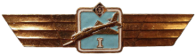 Знак Пилот 1 класса Знак Пилот 1 класса