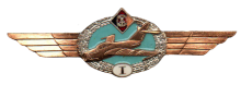 Знак Пилот 1 класса Знак Пилот 1 класса