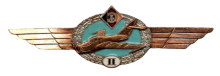 Знак Пилот 2 класса Знак Пилот 2 класса