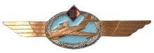Знак Пилот без класса Знак Пилот без класса