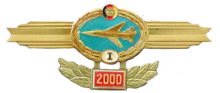 Знак Пилот 1 класса