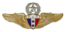 Знак Пилот мастер