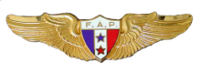 Знак Пилот