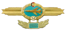 Знак Пилот-мастер Знак Пилот-мастер