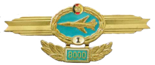 Знак Пилот 1 класса