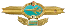 Знак Пилот 2 класса