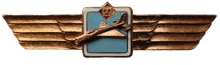 Знак Пилот без класса Знак Пилот без класса
