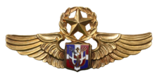 Знак Пилот мастер