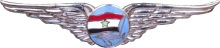 Знак Pilot