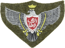 Знак Пилот