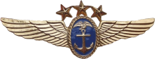 Знак Command pilot