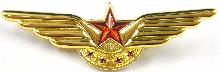 Знак Бортпроводница
