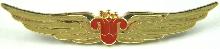 Знак Южные авиалинии