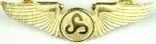 Знак Авиалинии