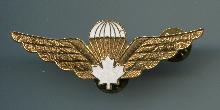 Знак Парашютист