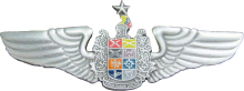 Знак Pilot