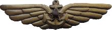 Знак Aircarrier crew member, bronze
