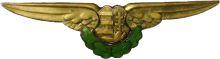 Знак Pilot Знак Pilot