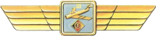 Знак Пилот 3 класса Знак Пилот 3 класса
