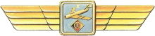 Знак Пилот 1 класса Знак Пилот 1 класса