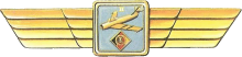 Знак Пилот 2 класса Знак Пилот 2 класса