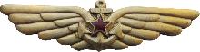 Знак Палубная авиация золотистый Знак Палубная авиация золотистый