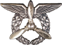 Знак Technician
