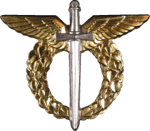 Знак Master pilot