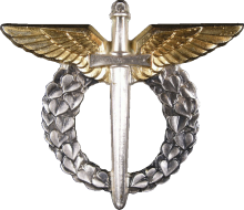 Знак Pilot
