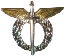 Знак Пилот