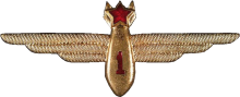 Знак Штурман 1 класса