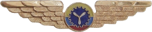 Знак Technician Знак Technician