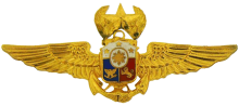 Знак Мастер пилот