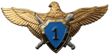 Знак Pilot 1st class