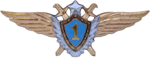 Знак Летчик 1 класса Знак Летчик 1 класса