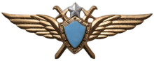 Знак Летчик без класса Знак Летчик без класса