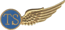 Знак Telegraphist/Gunner