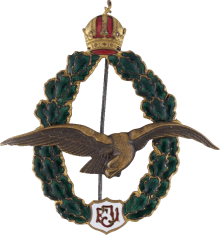Знак Пилот