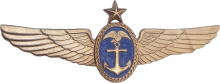 Знак Senior pilot