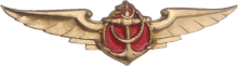 Знак Пилот