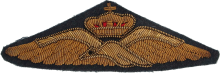 Знак Pilot