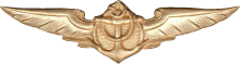 Знак Бортовой инженер