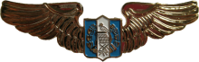 Знак Пилот