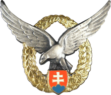 Знак Navigator 1st class