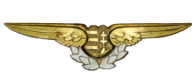 Знак Штурман