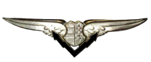 Знак Aircraft Radio Operator