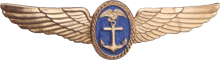Знак Pilot