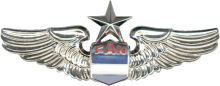 Знак Старший пилот